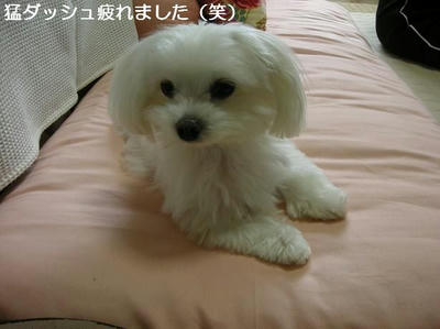 DSCN0012.JPG