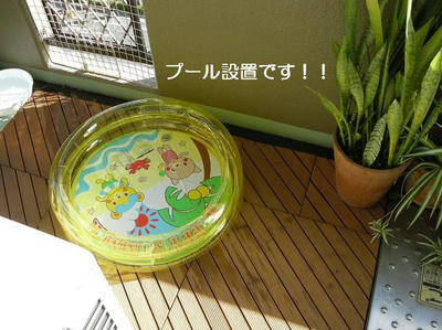 DSCN0086.JPG