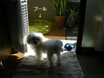 DSCN0090.JPG