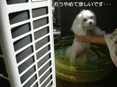DSCN0096.JPG