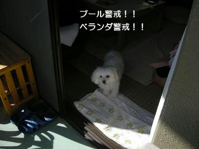 DSCN0097.JPG