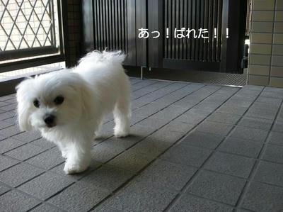 DSCN0106.JPG