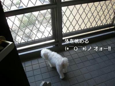 DSCN0111.JPG