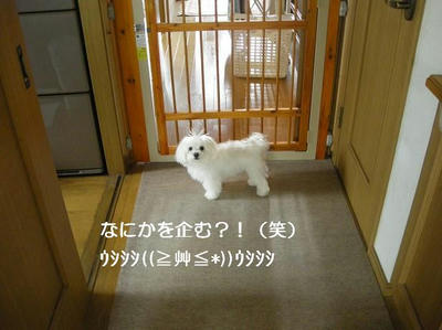 DSCN0116.JPG