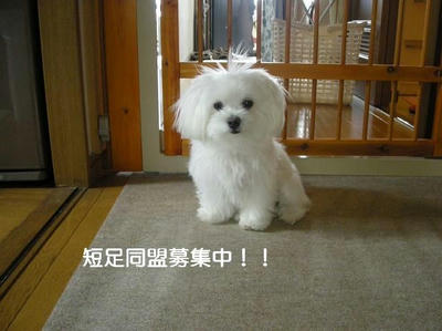 DSCN0124.JPG