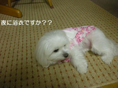 DSCN0137.JPG