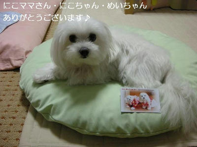 DSCN0151.JPG