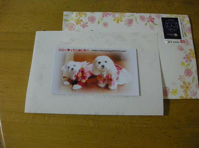 DSCN0155.JPG