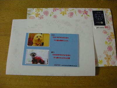 DSCN0156.JPG
