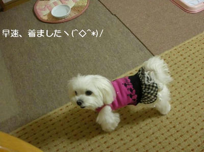 DSCN0167.JPG