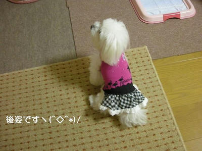 DSCN0171.JPG