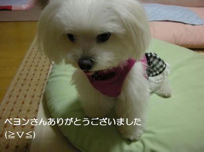 DSCN0174.JPG