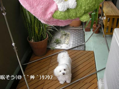 DSCN0075.JPG
