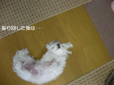 DSCN0142.JPG