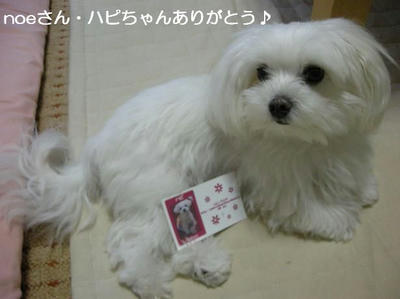DSCN0178.JPG