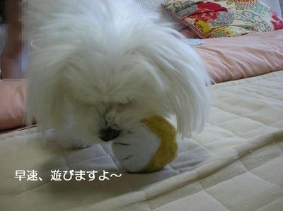 DSCN0190.JPG