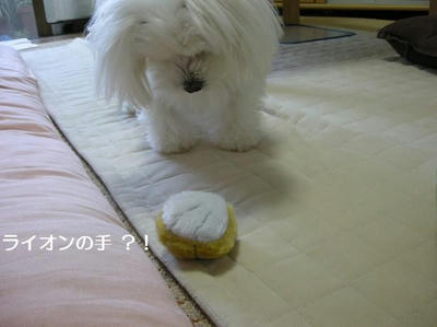 DSCN0194.JPG