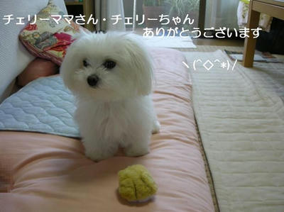 DSCN0199.JPG