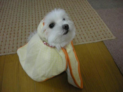 DSCN0210.JPG