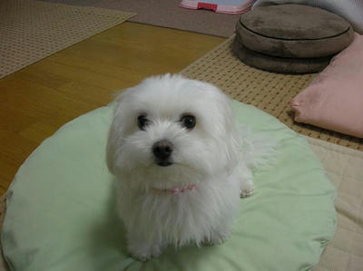 DSCN0222.JPG