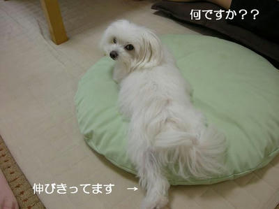 DSCN0234.JPG