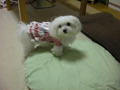 DSCN0256.JPG