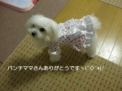 DSCN0260.JPG