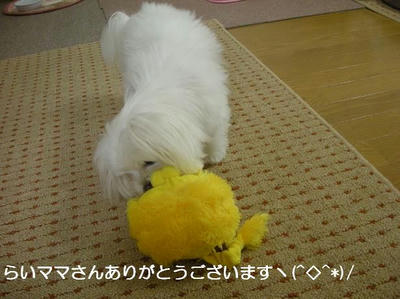 DSCN0287.JPG