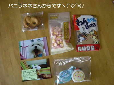 DSCN0294.JPG