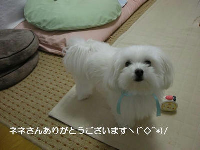 DSCN0310.JPG