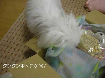 DSCN0328.JPG