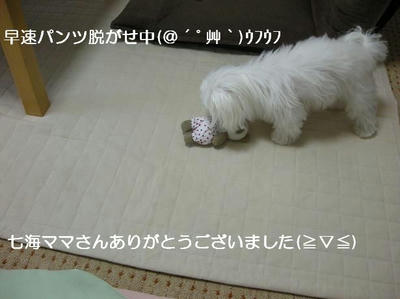 DSCN0334.JPG