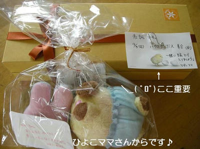 DSCN0342.JPG