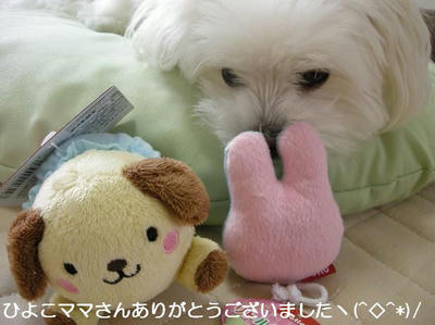 DSCN0345.JPG