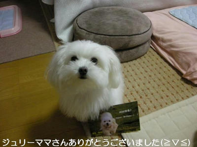 DSCN0384.JPG