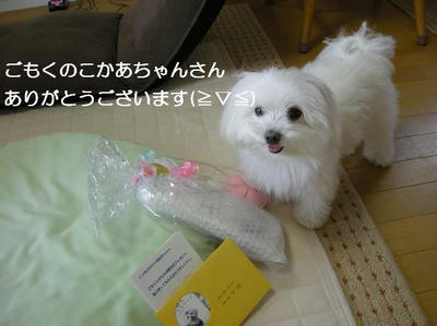 DSCN0358.JPG