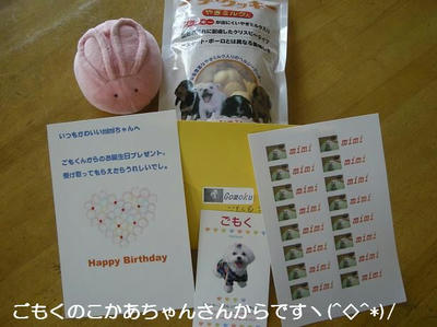 DSCN0362.JPG