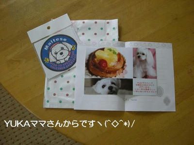 DSCN0373.JPG