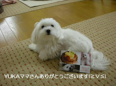 DSCN0375.JPG