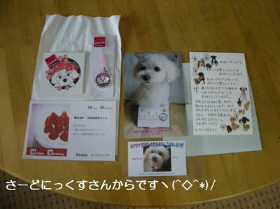 DSCN0378.JPG