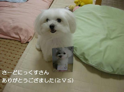 DSCN0382.JPG