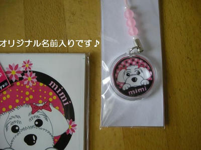DSCN0383.JPG