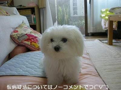 DSCN0198.JPG