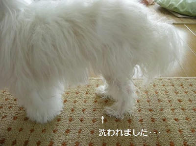 DSCN0390.JPG