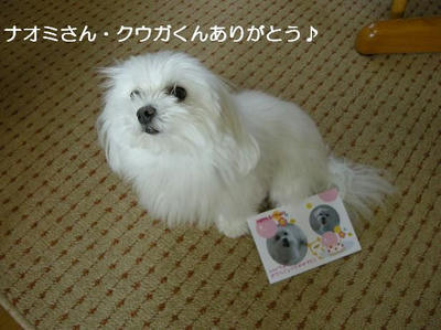 DSCN0407.JPG