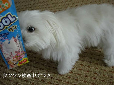 DSCN0409.JPG
