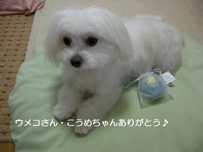 DSCN0428.JPG