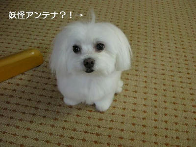 DSCN0422.JPG