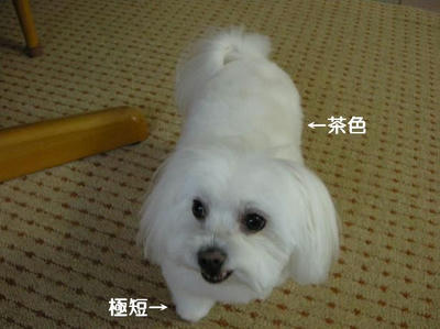 DSCN0420.JPG
