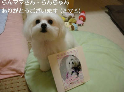 DSCN0451.JPG